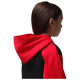 Jordan Παιδικές φόρμες σετ Little Kids' Air HBR Hoodie Set